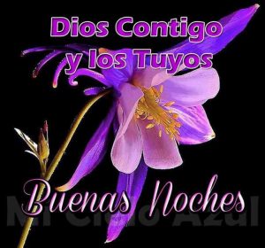 Frases Lindas Para Dar Las Buenas Noches Para Celular