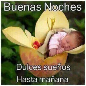 Frases Lindas Para Decir Buenas Noches