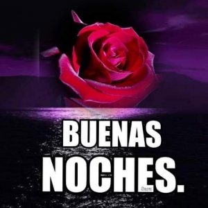 Frases Lindas Para Decir Buenas Noches Para Celular