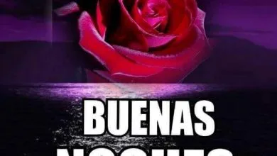 Photo of Frases Lindas Para Decir Buenas Noches Para Celular
