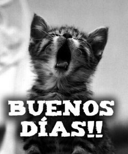 Frases Lindas Para Decir Buenos Dias Para Mi Amor