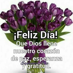 Frases Lindas Para Decir Buenos Dias Para Whatsapp