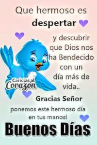 Frases Lindas Para Desear Buenos Dias Para Descargar
