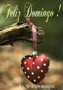 Frases Lindo Domingo Para Celular