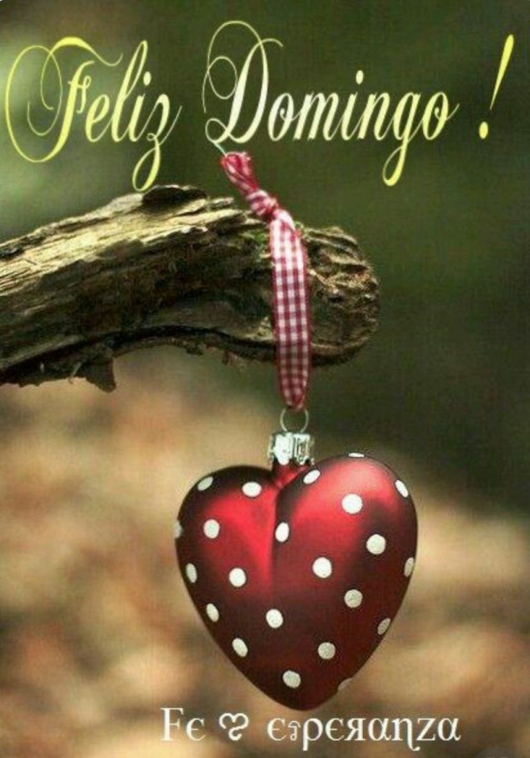 Frases Lindo Domingo Para Celular