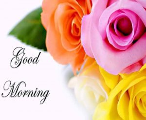 Frases Maravillosas De Buenos Dias Para Whatsapp