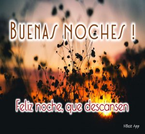 Frases Muy Bonitas De Buenas Noches Para Whatsapp