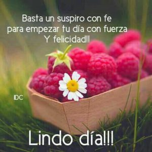 Frases Muy Buenos Dias Amor Para Descargar