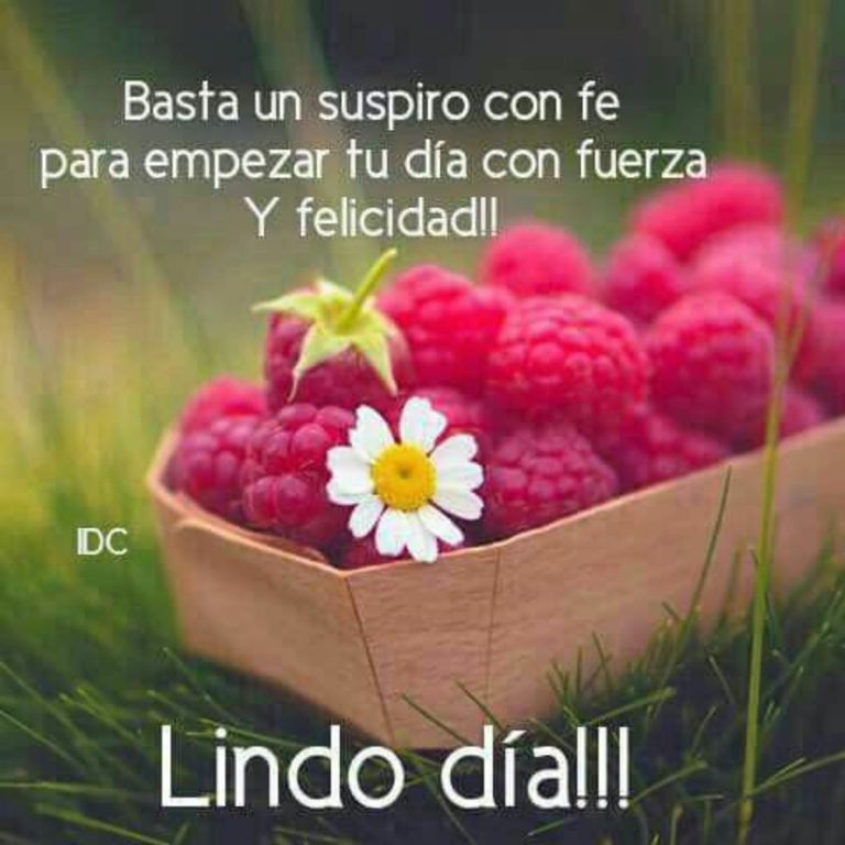 Frases Muy Buenos Dias Amor Para Descargar