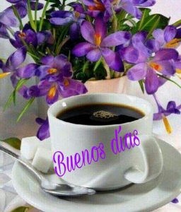 Frases Muy Buenos Dias Amor Para Una Amiga