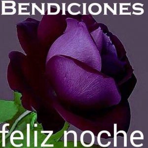 Frases Para Buenas Noches Para Celular