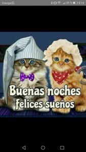 Frases Para Buenas Noches Romanticas Para Celular