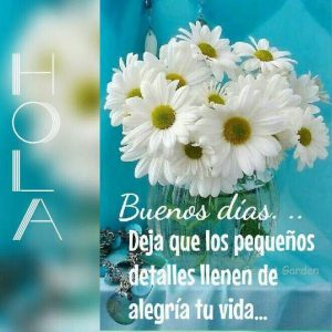 Frases Para Buenos Dias Amor Para Celular