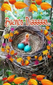 Frases Para Dar Buenos Dias A Una Mujer Para Una Amiga