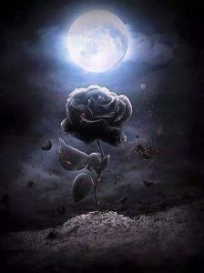 Frases Para Dar Las Buenas Noches