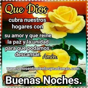 Frases Para Dar Las Buenas Noches A Mi Novia