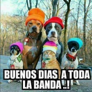 Frases Para Dar Los Buenos Dias A Mi Amor