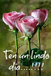 Frases Para Dar Los Buenos Dias A Mi Amor Para Facebook