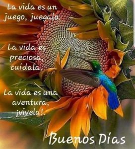 Frases para dar los buenos días a mi novia para una amiga