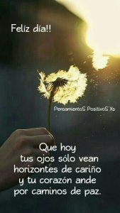 Frases Para Dar Los Buenos Dias A Tu Amor Para Una Amiga