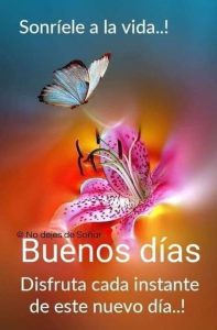 Frases Para Dar Los Buenos Dias A Tu Novia Para Una Amiga