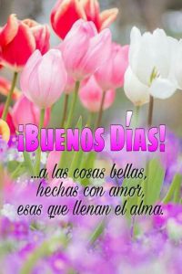 Frases Para Dar Los Buenos Dias A Tu Pareja Para Descargar