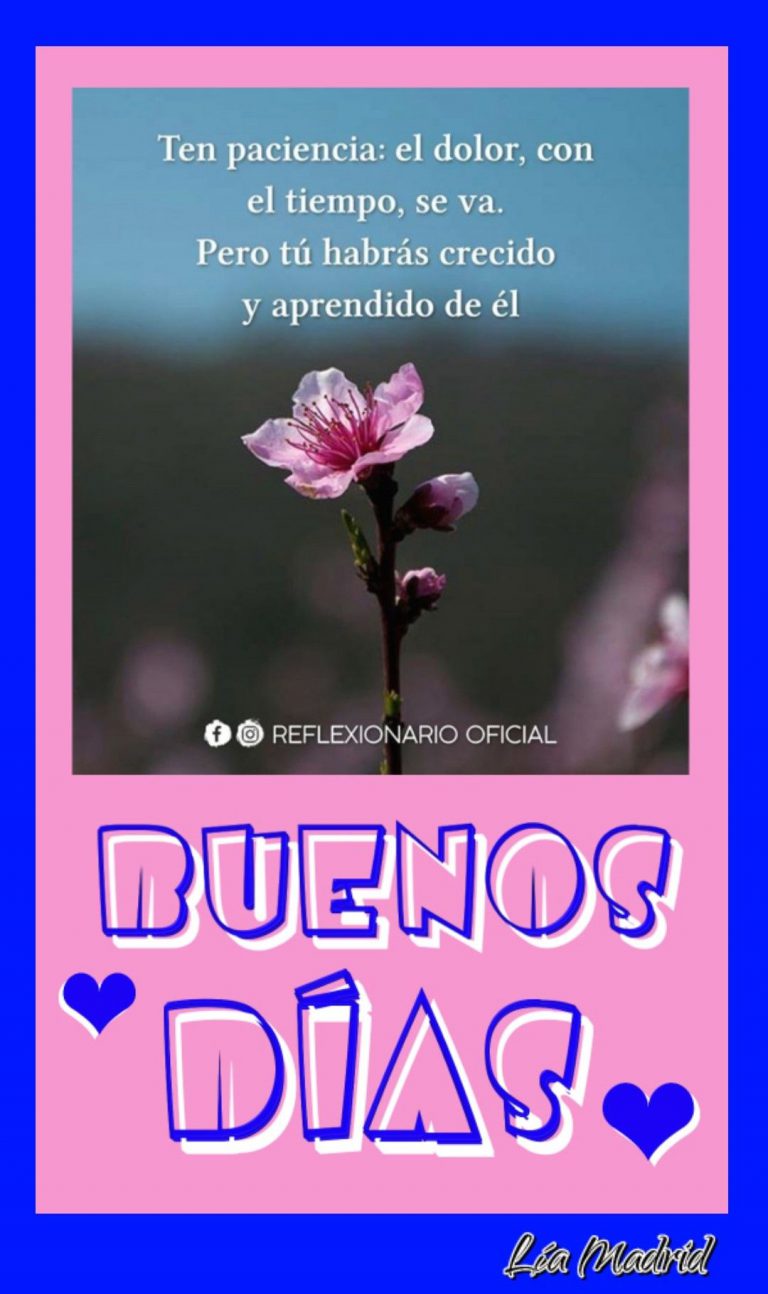 Frases Para Dar Los Buenos Dias A Tu Pareja Para Mi Amor