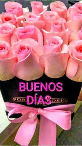 Frases Para Dar Los Buenos Dias Para Descargar