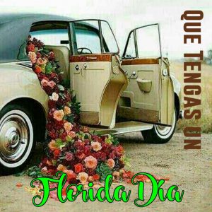 Frases Para Dar Los Buenos Dias Y Enamorar Para Descargar