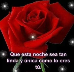 Frases para decir buenas noches mi amor para celular