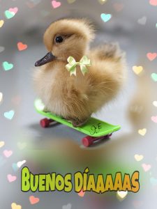 Frases Para Decir Buenos Dias Mi Amor Para Una Amiga