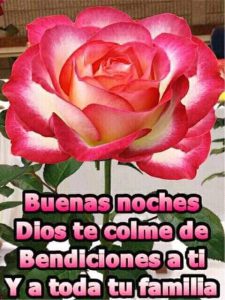 Frases Para Desear Buenas Noches A Mi Novia