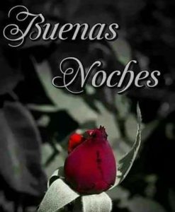 Frases Para Desear Buenas Noches A Tu Amor