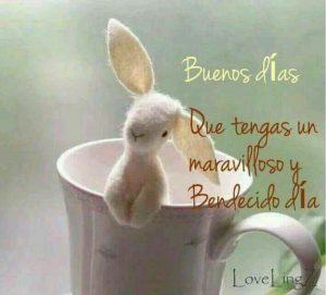 Frases Para Desear Buenos Dias A Un Amor