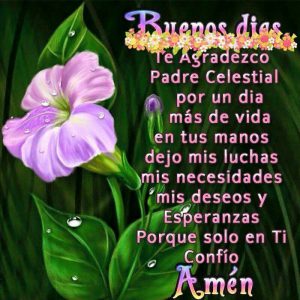 Frases Para Desear Buenos Dias A Un Amor Para Mi Amor