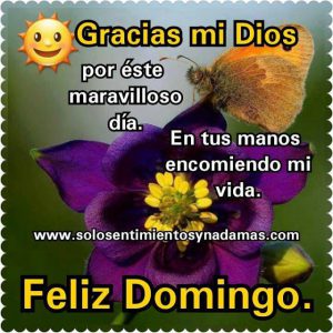 Frases Para Desear Feliz Domingo Para Whatsapp
