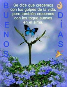 Frases Para Desear Los Buenos Dias Para Facebook