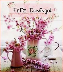 Frases para desear un buen domingo para celular