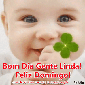 Frases para desear un feliz domingo para celular