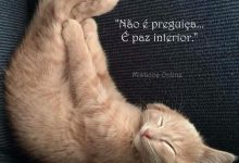 Photo of Frases Para Desear Un Lindo Domingo Para Celular