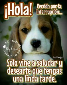 Frases Para Desear Una Feliz Tarde Para Whatsapp Celular