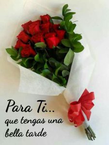 Frases Para Desear Una Linda Tarde A Mi Amor Para Whatsapp Celular