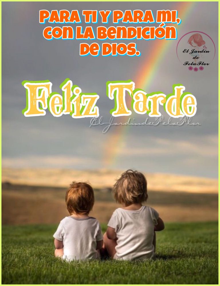Frases Para Desear Una Linda Tarde Para Whatsapp Celular