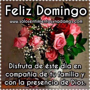 Frases Para Dia Domingo Para Facebook Para Celular