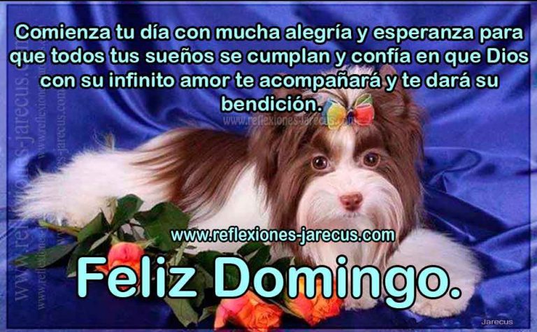 Frases Para El Dia Domingo Para Whatsapp