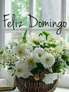 Frases Para El Domingo Para Whatsapp