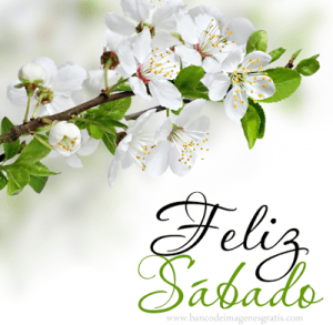 Frases Para El Sabado Facebook Para Facebook