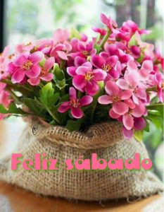 Frases Para El Sabado Para Celular