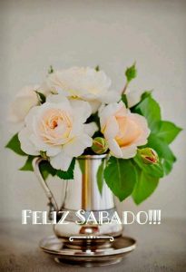 Frases Para El Sabado Para Whatsapp