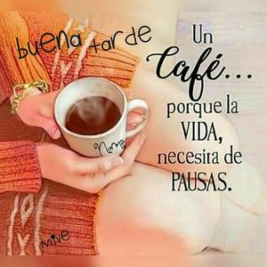 Frases Para Esta Tarde Para Whatsapp Celular